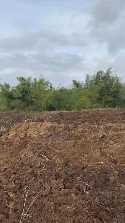 Đất nền 9,4 Sào tại Ea Drông, Buôn Hồ - Giá chỉ 1.55 tỷ, đầu tư sinh lời ngay!