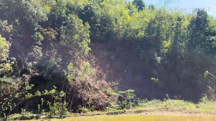 Đất nông nghiệp 1ha tại thôn Kon Rơ Lang, Kon Tum giá 450 triệu - Cơ hội đầu tư hấp dẫn!