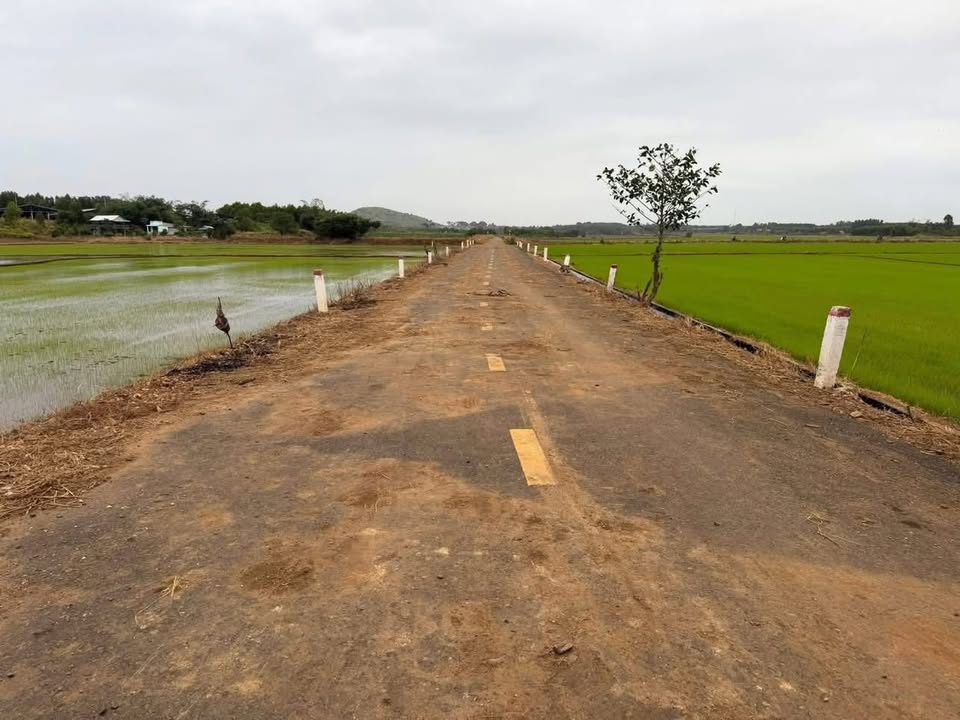 Đất nông nghiệp 7 xào tại Phước Tân, Bà Rịa - Vũng Tàu - Giá chỉ 3 tỷ