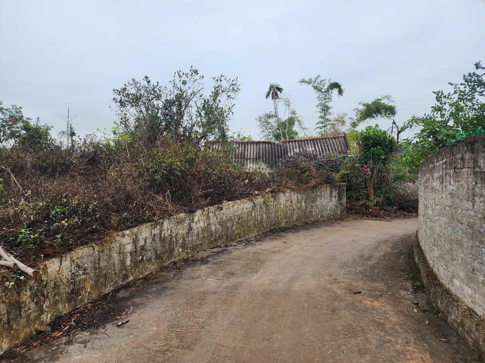 Đất nền Tiền An, Quảng Yên 100m² chỉ 700 triệu - Cơ hội đầu tư tuyệt vời!