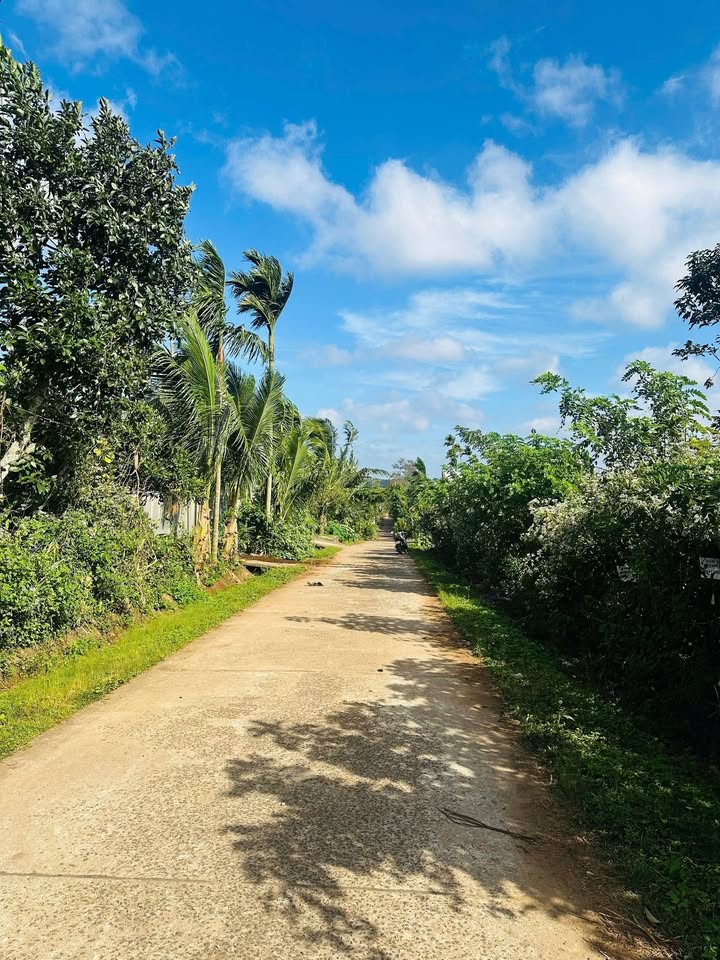 Đất nền Hòa Thắng, Buôn Ma Thuột 500m² giá 1.85 tỷ - Đầu tư sinh lời hấp dẫn!