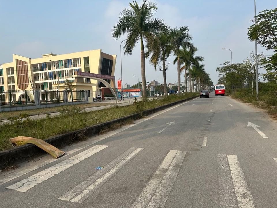 Mặt phố Tiên Dược, Mai Đình 80m² giá 7 tỷ - Kinh doanh sầm uất, ô tô đỗ thoải mái!