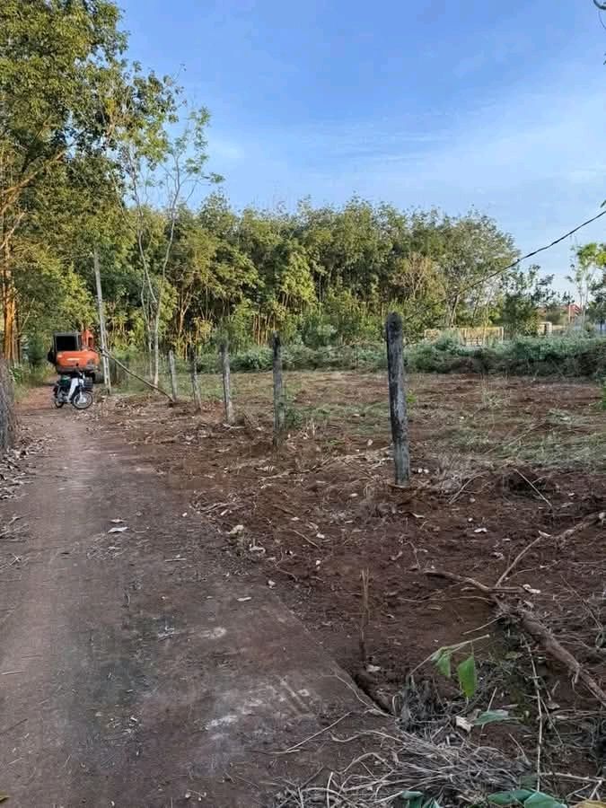 Đất nền Phước Long 198m² giá 500 triệu - Cơ hội đầu tư hấp dẫn!