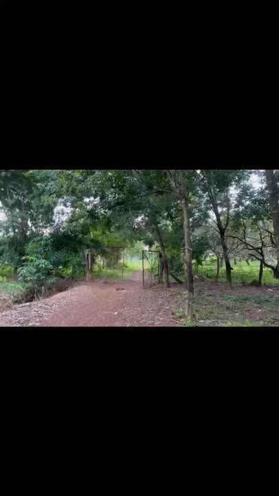 Đất Farm Lộc Thạnh 10ha giá 14 tỷ - Cơ hội đầu tư tuyệt vời!