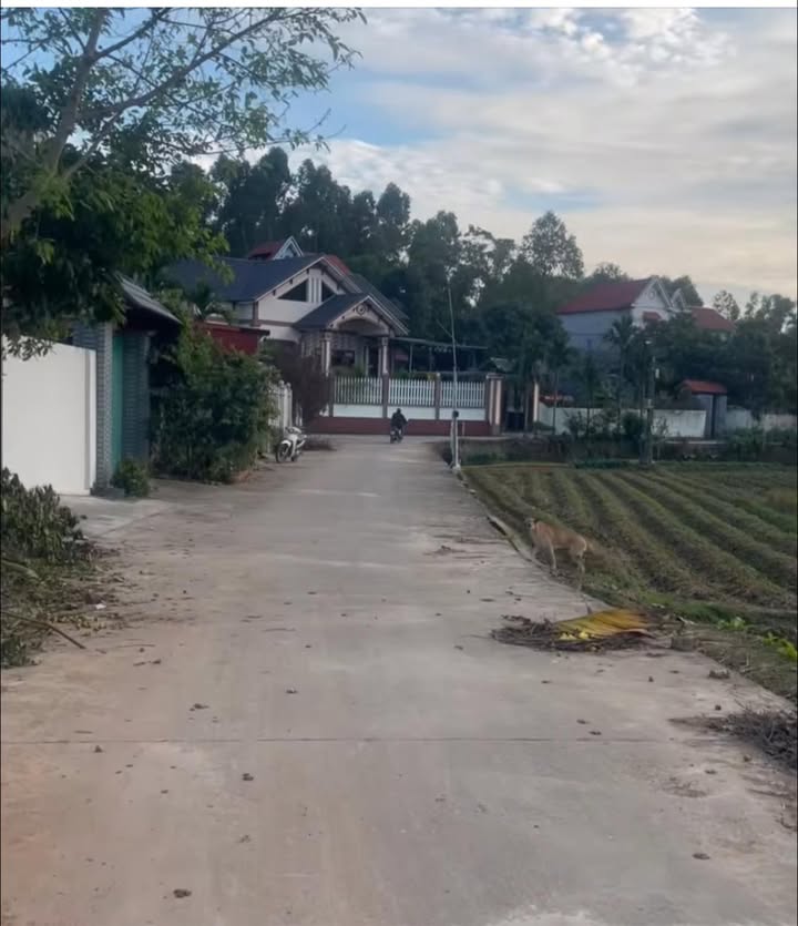 Đất nền phường Tân An, Bắc Giang 125m² - Giá thỏa thuận hợp lý!