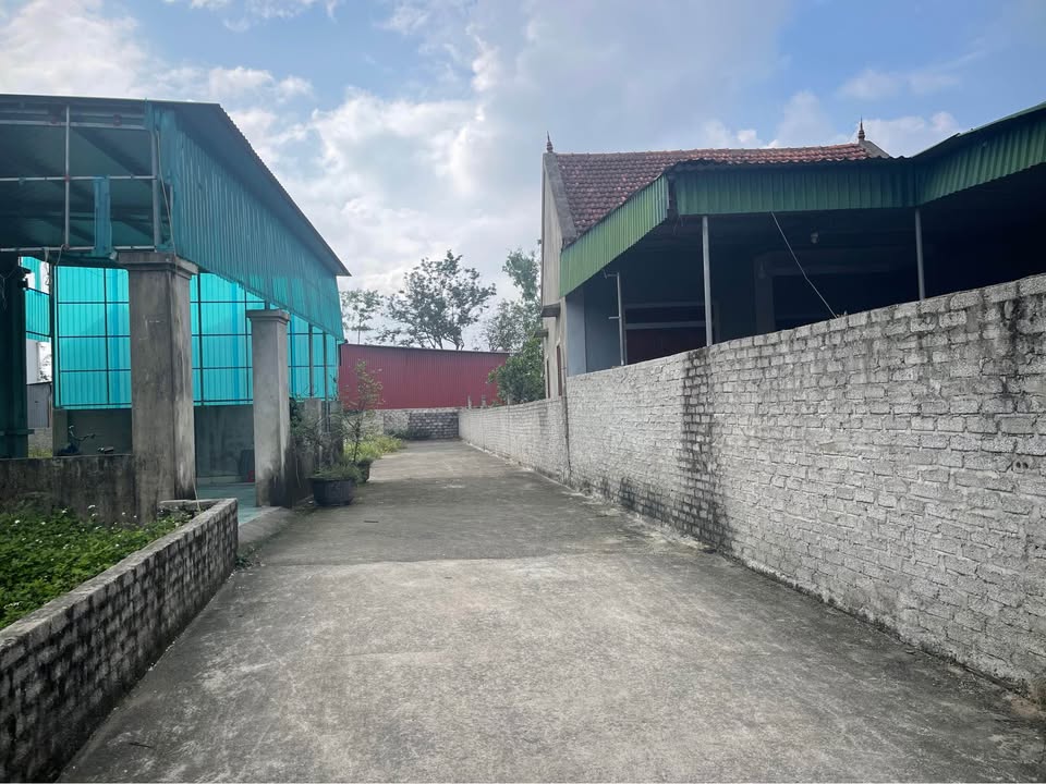 Lô đất Nghi Thái Vinh 100m² giá 1.2 tỷ - Đường ô tô vào tận nơi!