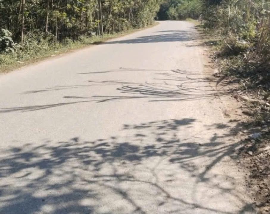 Đất Farm 6ha tại xã Văn Lăng, Thái Nguyên giá 3.9 tỷ - Đất thổ cư sẵn sàng đầu tư!