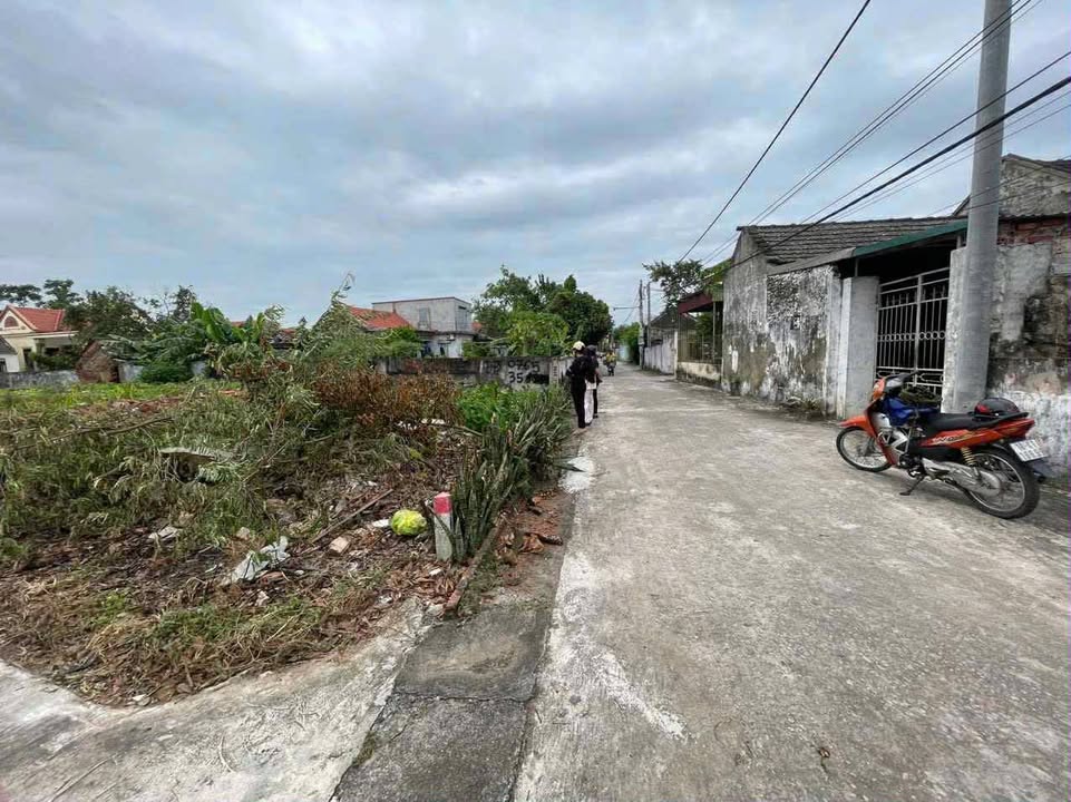 Đất nền Khánh Lợi, Yên Khánh 230m² giá thỏa thuận - 3 mặt tiền hấp dẫn!