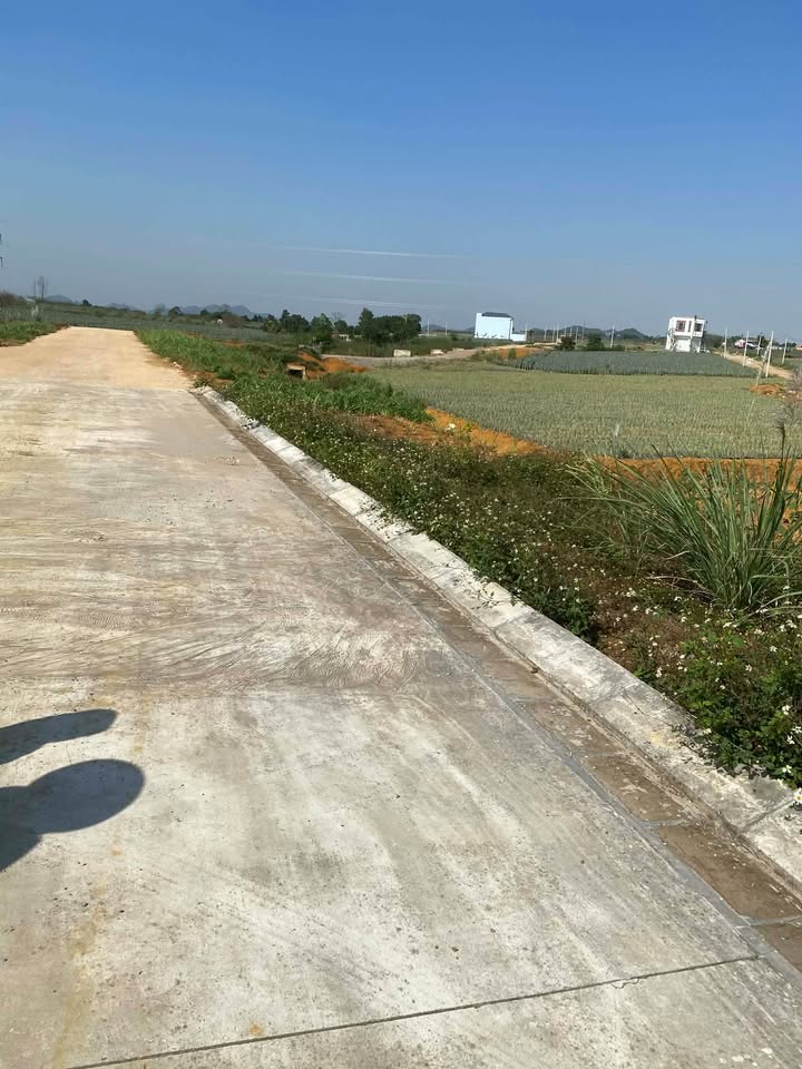 Đất nền dự án Tây Sơn Tam Điệp 126m² - Cơ hội đầu tư không thể bỏ lỡ!