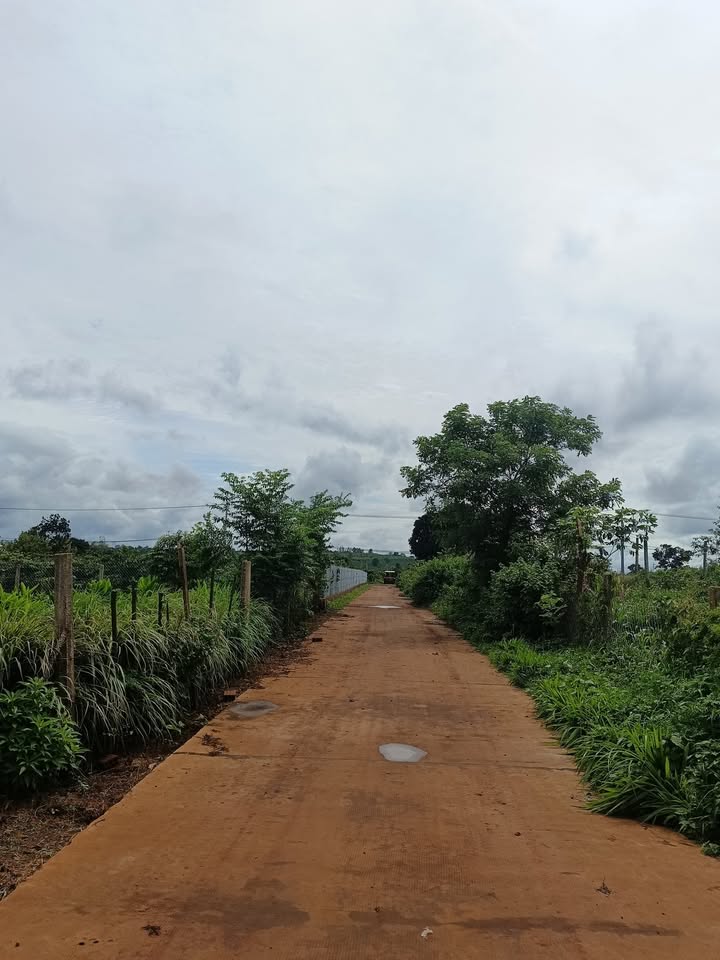 Nhà riêng Biển Hồ, Pleiku, Gia Lai 160m² giá 899 triệu - Sẵn sàng vào ở ngay!