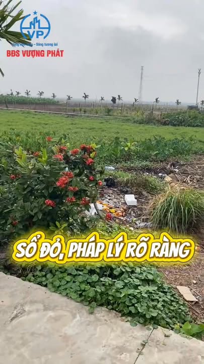 Đất nền Giao Yến 150m² giá thỏa thuận - Đón đầu sóng hạ tầng khu công nghiệp Vsip!