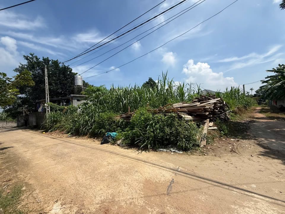 Đất nền Tản Lĩnh, Ba Vì 160m² giá 100 triệu - Lô góc 2 mặt tiền thuận lợi!