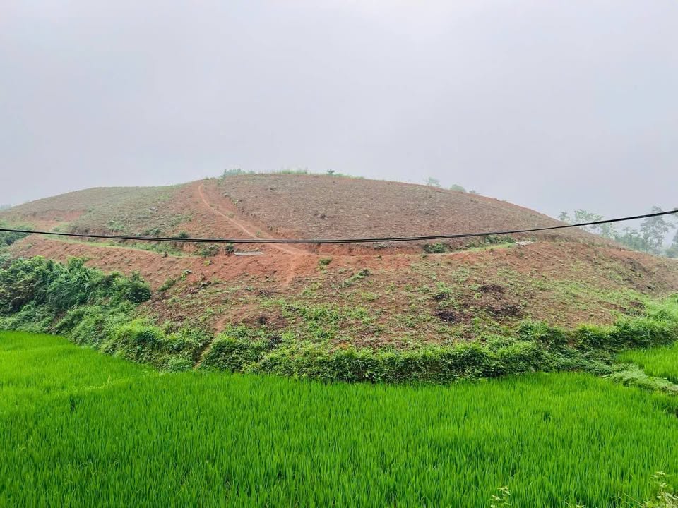 Đất Farm Bảo Hiệu Yên Thủy 20.000m² giá 3 tỷ - Phù hợp làm trang trại nhà vườn!