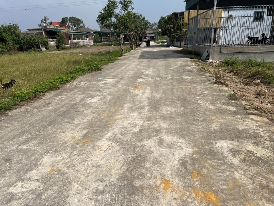 Đất nền lối 2 đường 24, xã Nghi Phong 80m² giá 1.1 tỷ - Cơ hội đầu tư hấp dẫn!