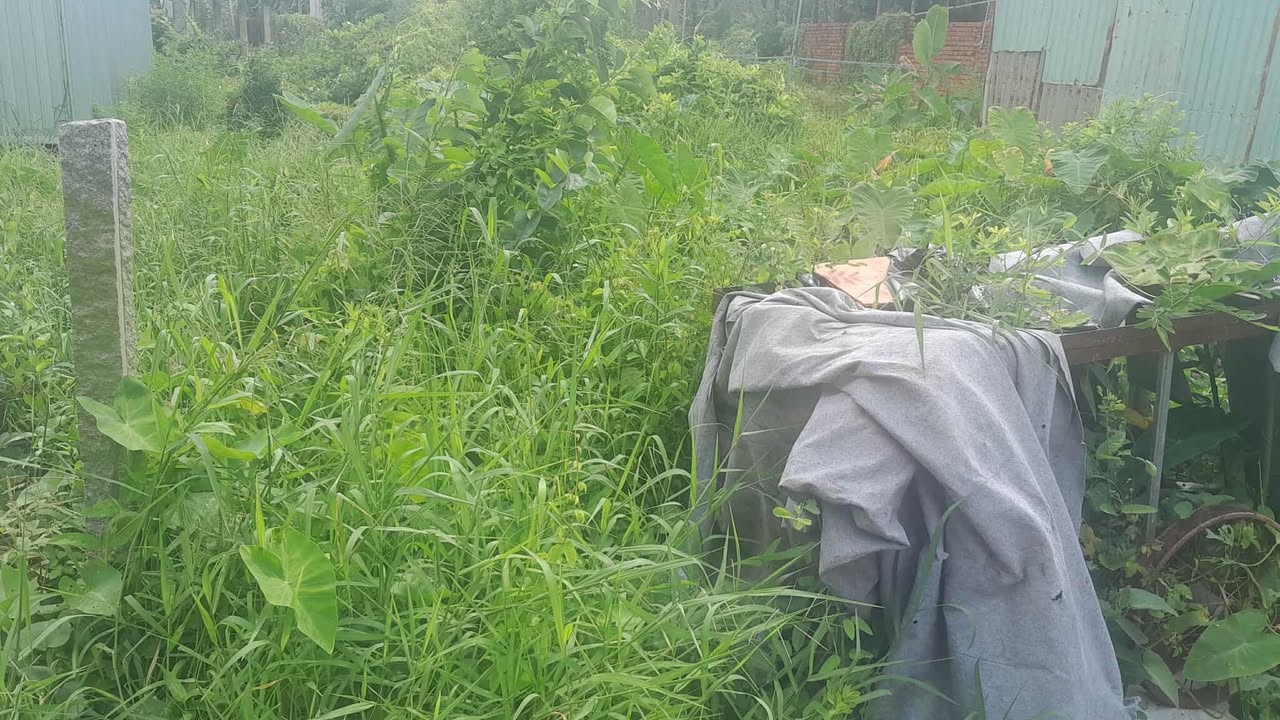 Đất vườn 515m² tại hẻm Lâm Quang Ky, An Hòa, Rạch Giá - Giá chỉ 1.599 tỷ!