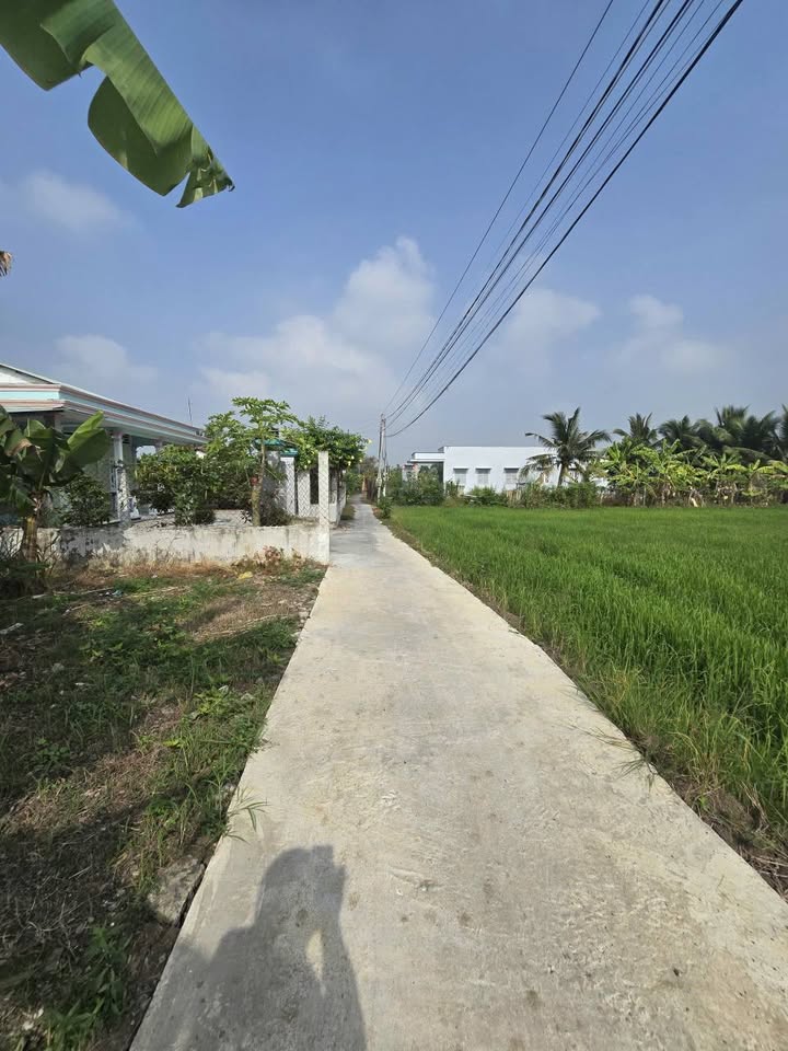 Đất lúa Bến Lức 1560m² giá 2.7 tỷ - Đường xe du lịch chạy tới