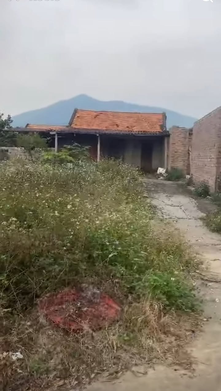 Đất nền Nam Dương Lục Ngạn 2957m² giá thỏa thuận - View núi tuyệt đẹp!