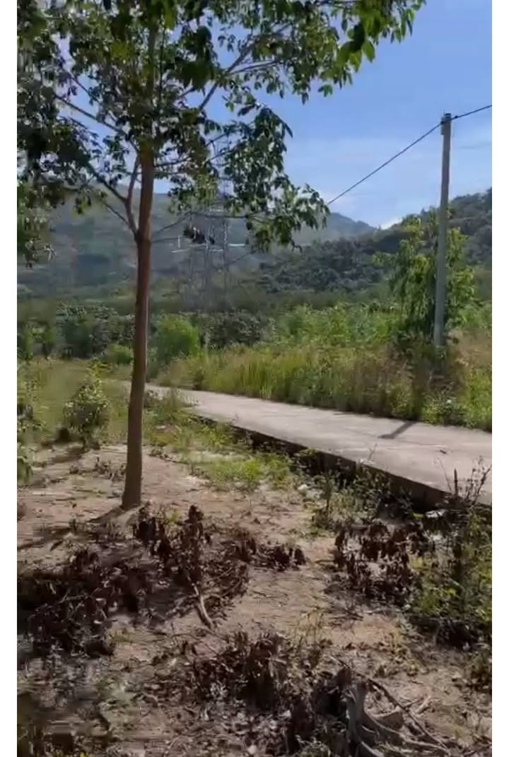 Đất nông nghiệp Hòa Bình Kon Tum 2200m² - Giá tốt, mặt đường bê tông rộng rãi!