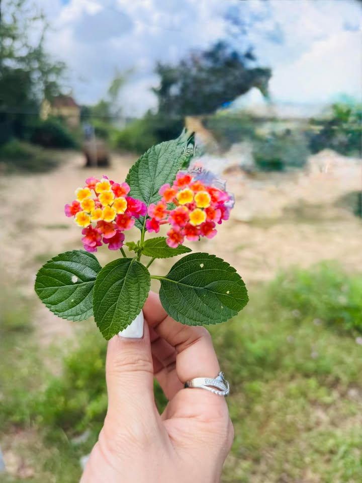 Đất nền Dạ Trạch Khoái Châu 112m² giá chỉ 2x triệu/m² - Cơ hội đầu tư tuyệt vời!