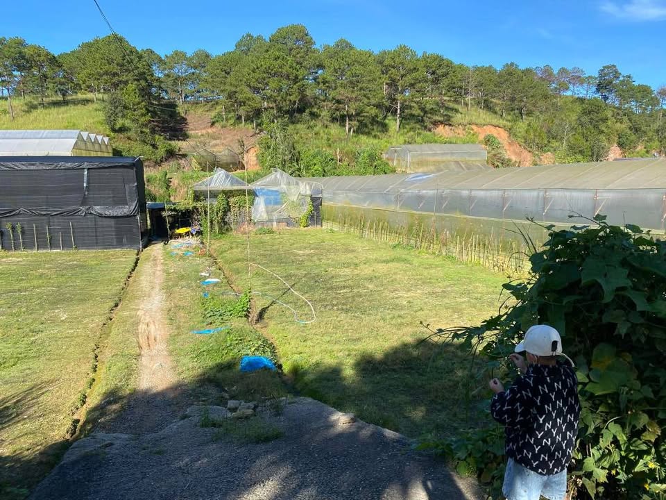 Đất nền Đà Lạt 64m² giá 600 triệu - Cơ hội đầu tư không thể bỏ lỡ!