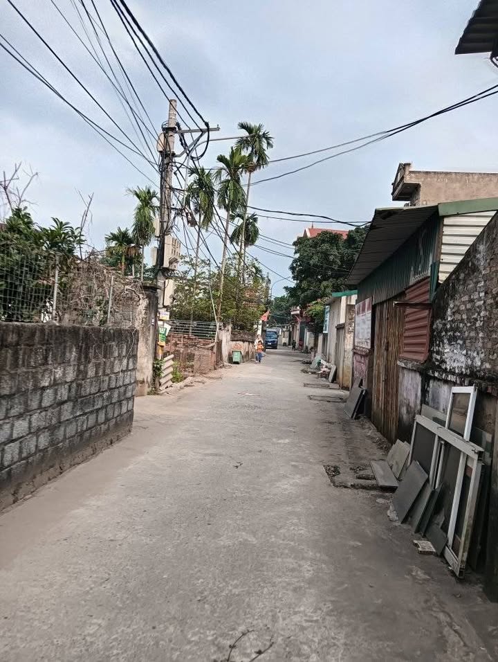 Đất nền Thư Phú, Thường Tín 53m² giá chỉ 2.95 tỷ - Sổ đỏ chính chủ!