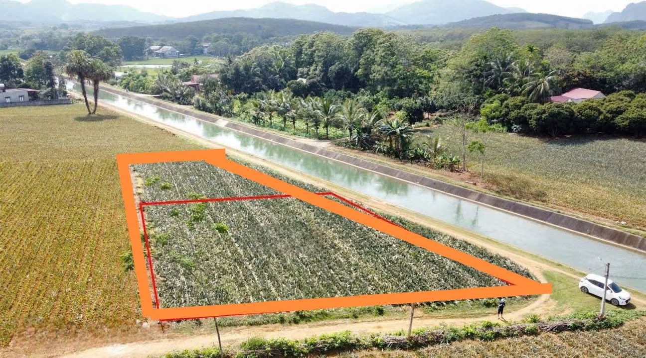 Đất nền Minh Tiến Ngọc Lặc 1100m² giá 220 triệu - Cơ hội đầu tư tuyệt vời!