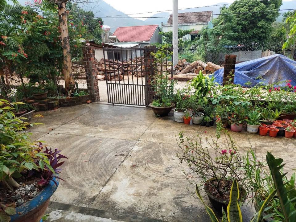 Đất thổ cư Hòa Phú, Hòa Vang 244m² giá 2 tỷ - Đầu tư nghỉ dưỡng lý tưởng!