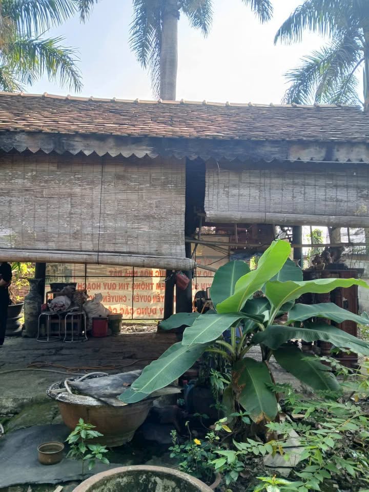 Nhà vườn đường 1/26, Bình Chánh 224m² giá 1.5 tỷ - Chính chủ bán gấp!