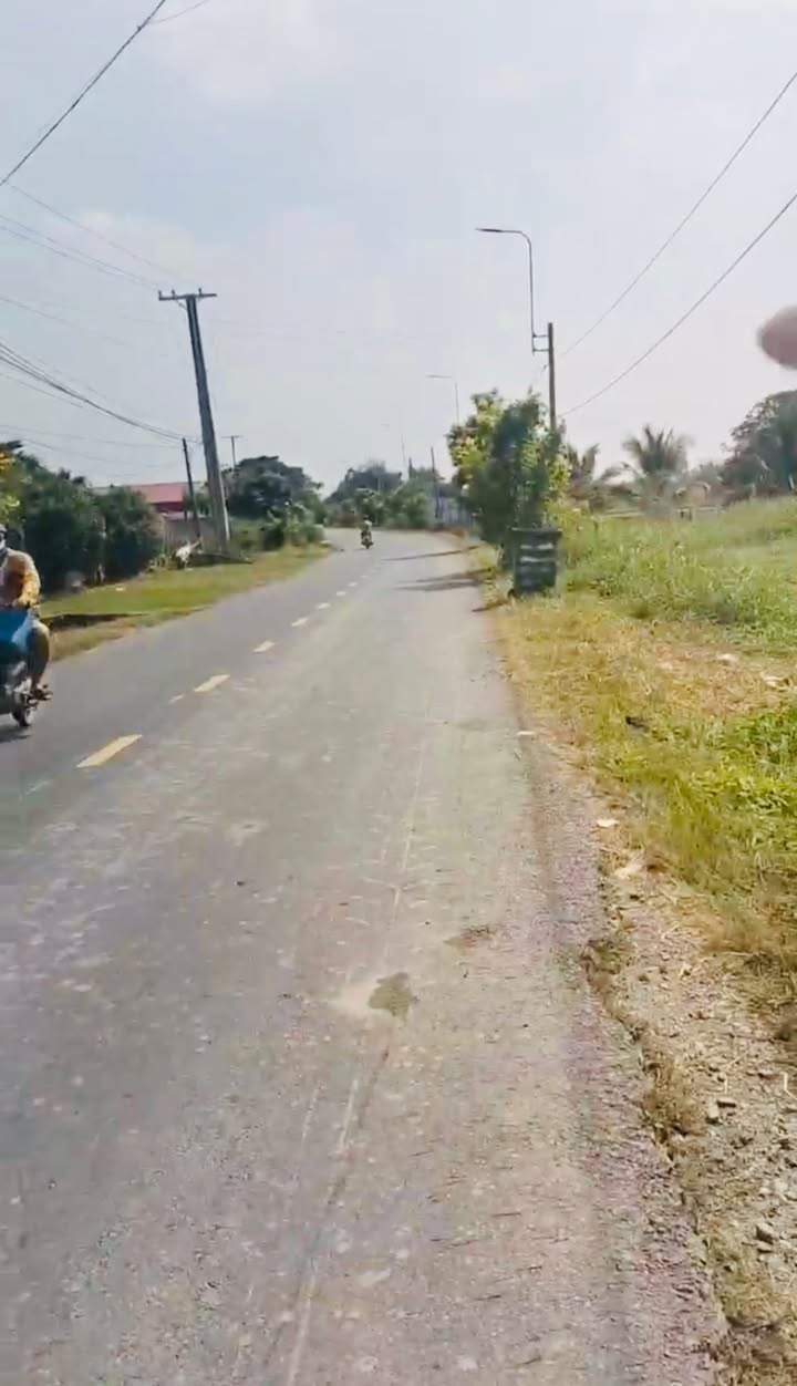 Đất nông nghiệp Tân Thạnh 8200m² giá 21 tỷ - Mặt tiền tỉnh lộ 833 thuận lợi cho kinh doanh!