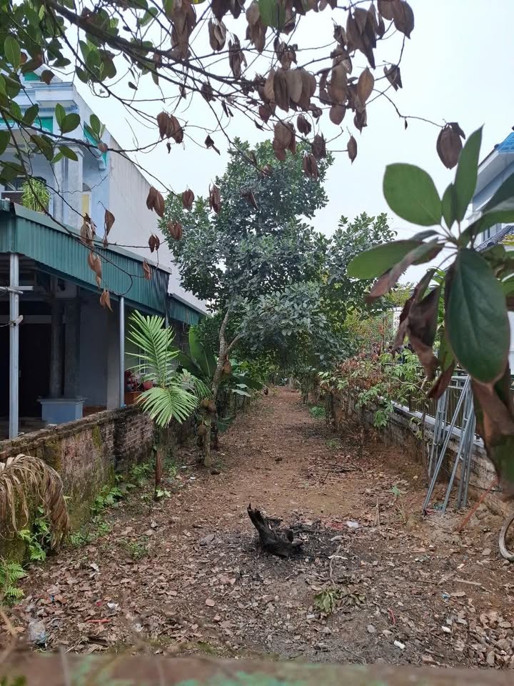 Đất thổ cư Hương Nộn 224,7m² giá thỏa thuận - Tiềm năng đầu tư vượt trội!