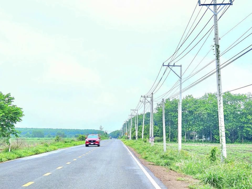 Đất nền Chơn Thành 5500m² giá 1.5 tỷ - Đầu tư sinh lời ngay!