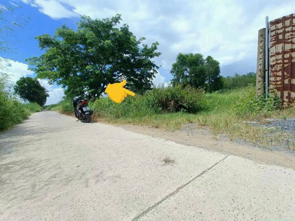 Đất nền Nhà Bè 1016m² giá 14 tỷ - Thiết kế sân vườn đẳng cấp!