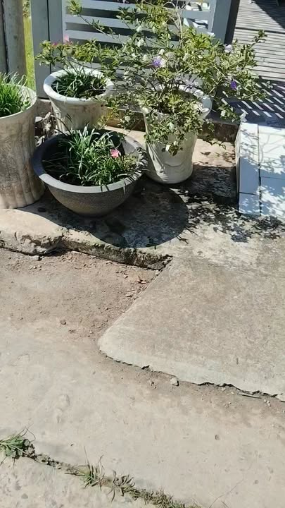 Nhà đẹp phường Cao Lãnh, Đồng Tháp 154m² giá 1.85 tỷ - Chỉ việc xách vali vào ở!