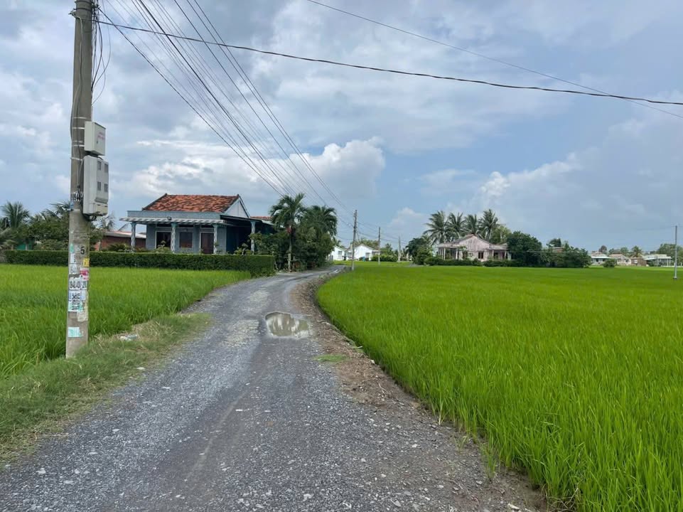 Đất ở Tân Trạch - Cần Đước 900m² giá chỉ 3.25 tỷ - Đầu tư sinh lời cao!