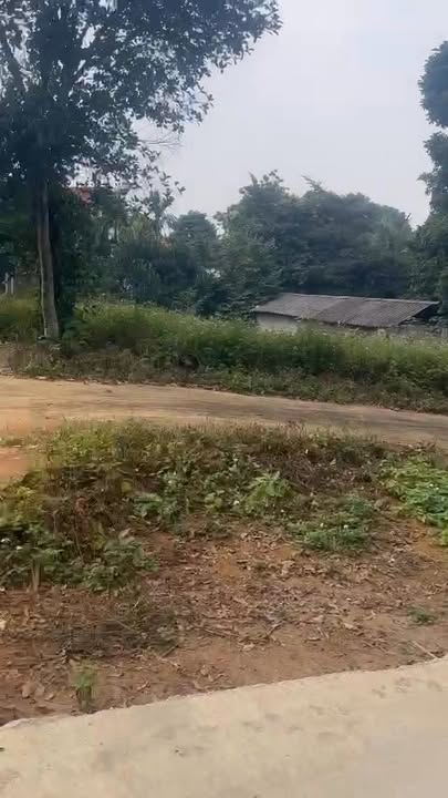 Đất nền Ba Vì 541m² giá thỏa thuận - Cơ hội đầu tư tuyệt vời!