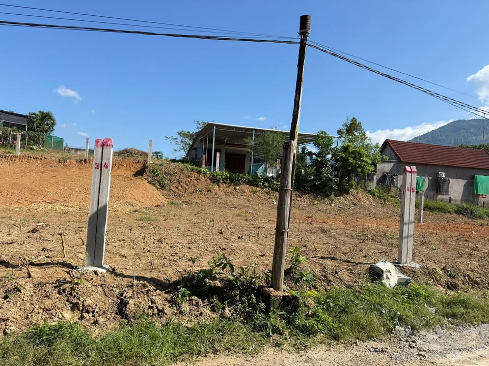 Đất nền Diên Xuân 100m² giá 290 triệu - Sổ hồng chính chủ, dân cư đông đúc!