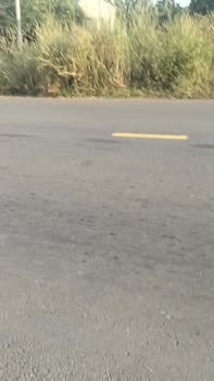 Mặt tiền FrontHouse đường DH 507, An Thái 300m² - Kinh doanh đắc địa!