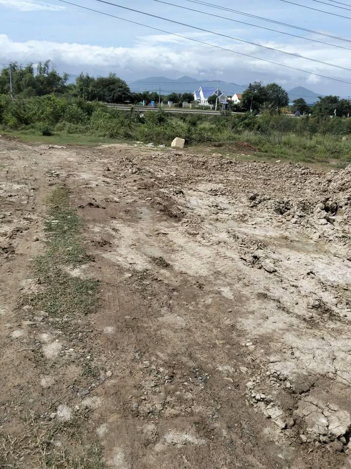 Đất nền 1,5ha tại xã Tân Định, Khánh Hòa giá chỉ 350 triệu - Cơ hội đầu tư tuyệt vời!