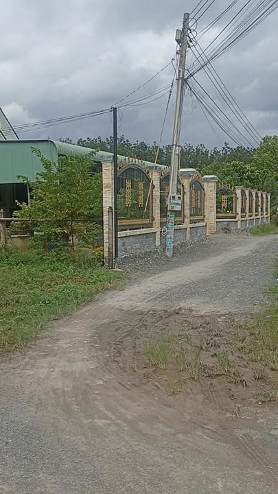 Đất Tân Bình 596m² giá 2.6 tỷ - Lô góc thổ cư 100%!