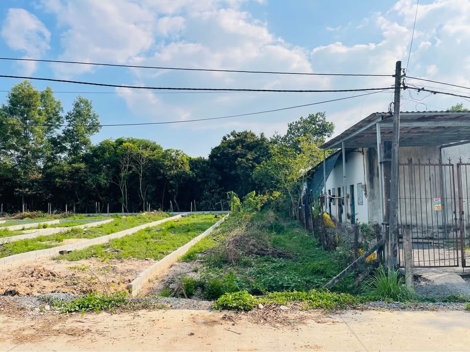 Đất Thổ Cư Tân An Hội, Củ Chi 169m² giá 1.85 tỷ - Sổ hồng riêng, pháp lý chuẩn!