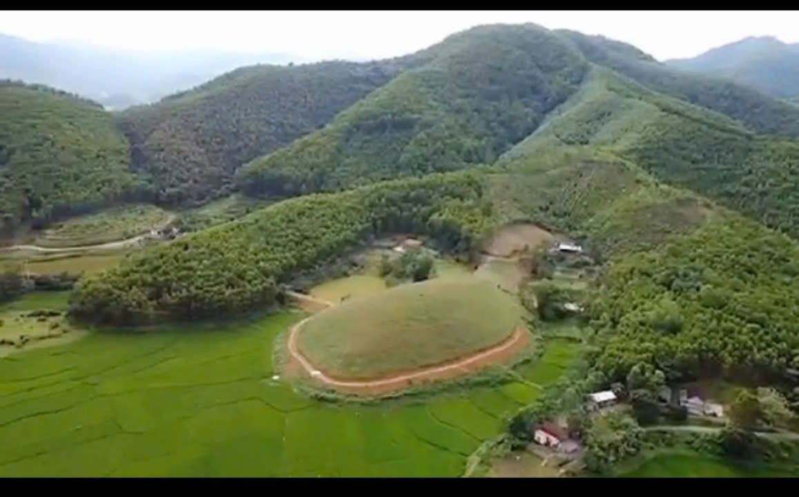 Đất Farm Yên Lãng Thanh Sơn 1ha - Cây thông 3 năm tuổi, giá hấp dẫn!