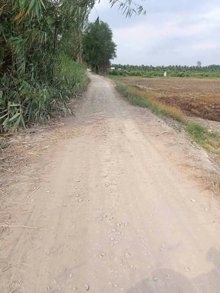 Đất nông nghiệp mặt tiền đường 3.5m, Long Hồ, Vĩnh Long 12,000m² - Giá chỉ 1.17 tỷ!