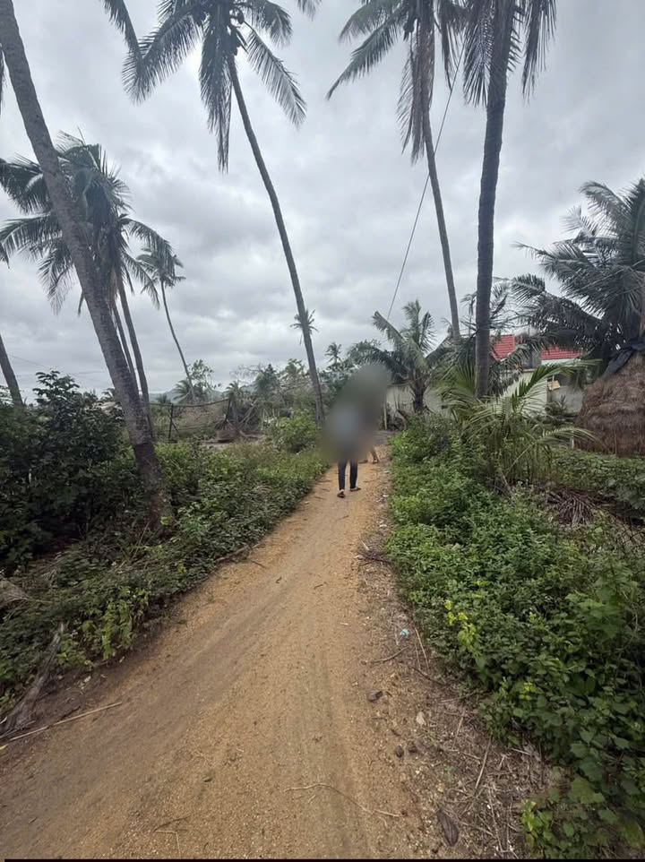 Đất thổ cư 200m² Xuân Lộc, Sông Cầu - Giá chỉ 300 triệu, chốn bình yên lý tưởng!