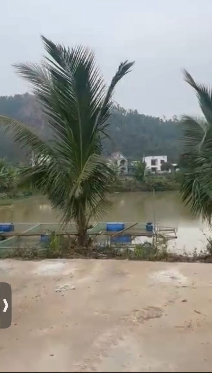 Đất nền chính chủ tại đường tránh Thái Học, Chí Linh, Hải Dương 160m² - Giá siêu hấp dẫn chỉ 800 triệu!