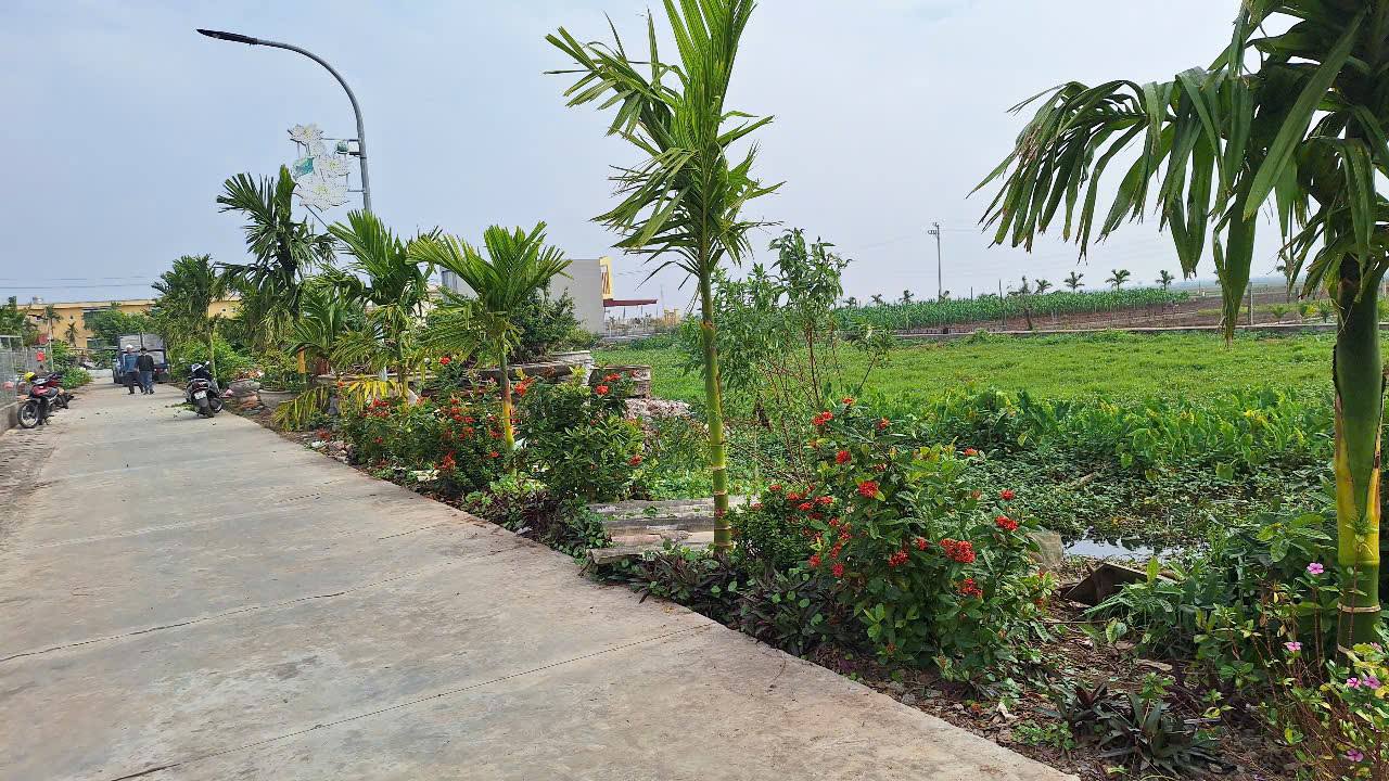 Đất nền Giao Yến, Giao Thủy 150m² - Sổ đỏ chính chủ, pháp lý rõ ràng!