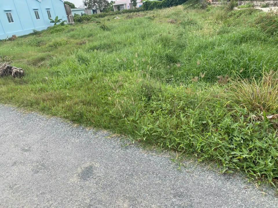 Đất thổ cư 115m² tại ấp Cầu Đúc, Châu Thành, Long An - Giá chỉ 450 triệu!