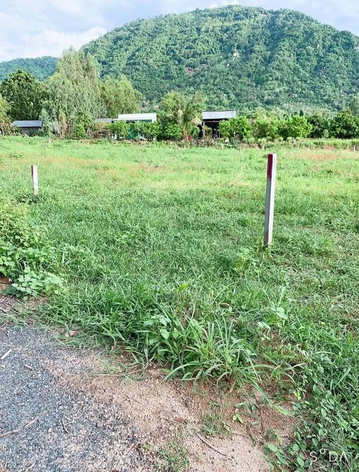 Đất thổ cư Xuân Tô, Tịnh Biên 160m² giá 320 triệu - Sổ hồng sẵn, vị trí đắc địa!