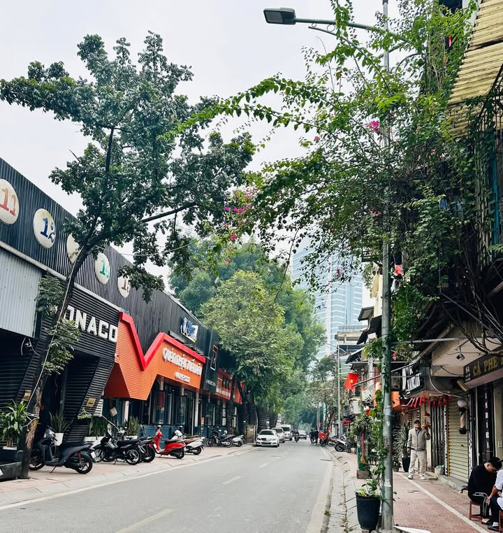 Nhà phố Phó Đức Chính Ba Đình 50m² giá 11.6 tỷ - Mặt tiền kinh doanh sầm uất!