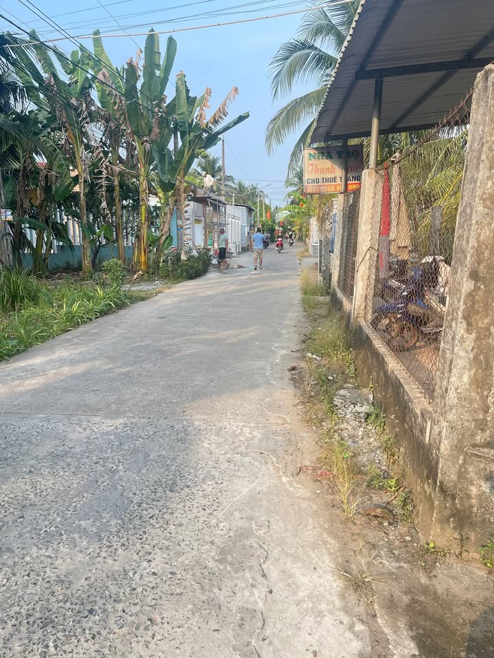 Đất ở Lương Quới, Giồng Trôm 1800m² giá 3.1 tỷ - Đầu tư sinh lời lý tưởng!