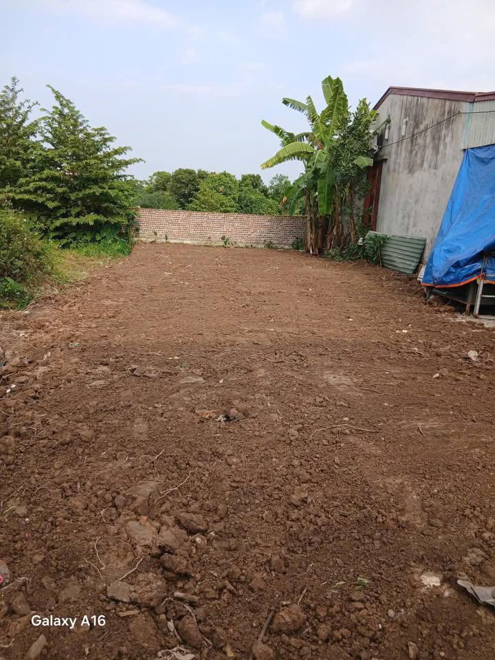 Đất nền Kim Đính, Kim Thành 132m² - Giá mềm bất ngờ, cơ hội đầu tư tuyệt vời!